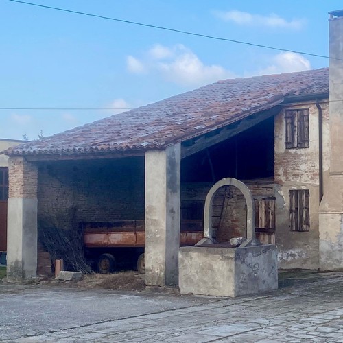 Rustico di testa